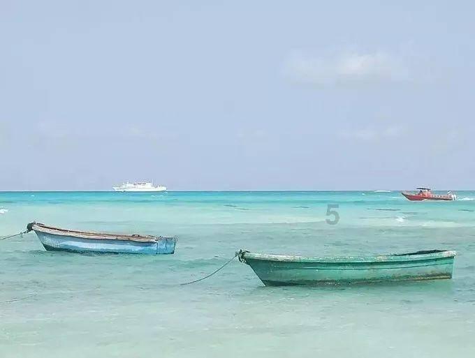 救援深海动物