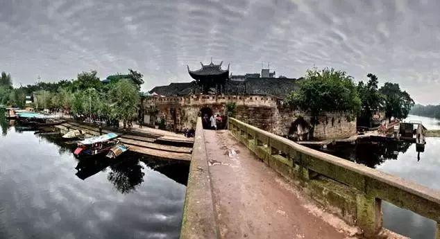 寻找沙漠珍宝
